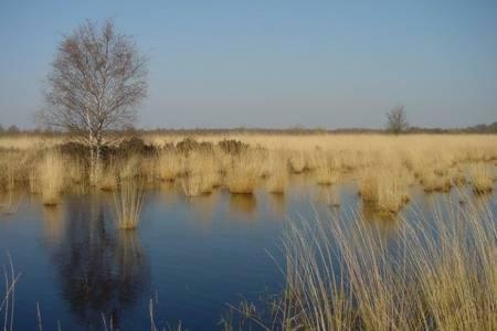 Appartement De Groote Peel Nederweert Zewnętrze zdjęcie